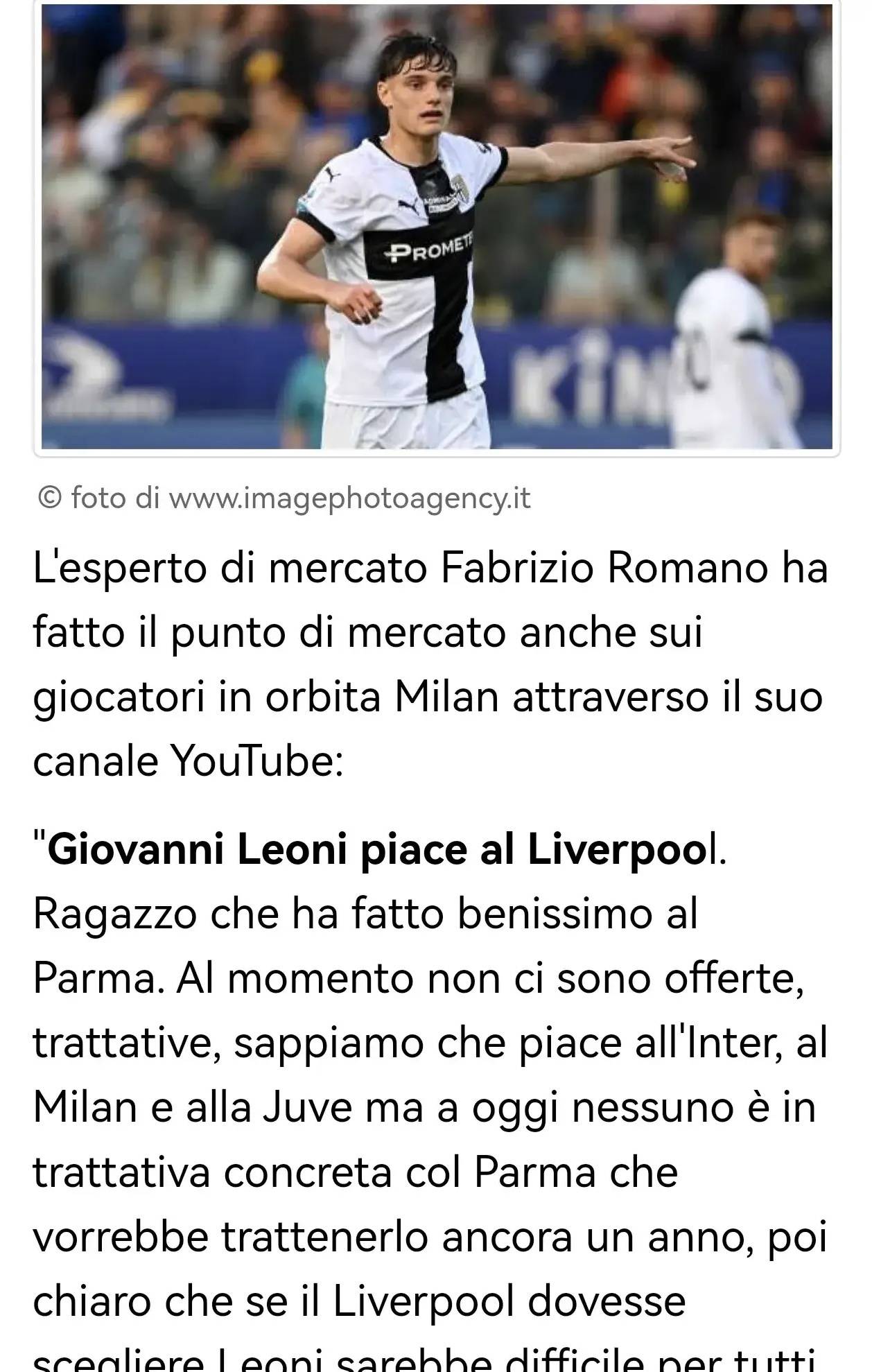 训练的过程 训练的过程