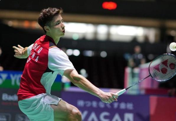 提供了更多 提供了更多