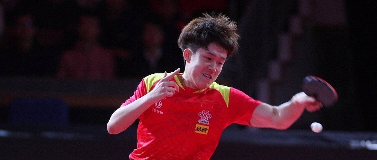 善的支持体 善的支持体