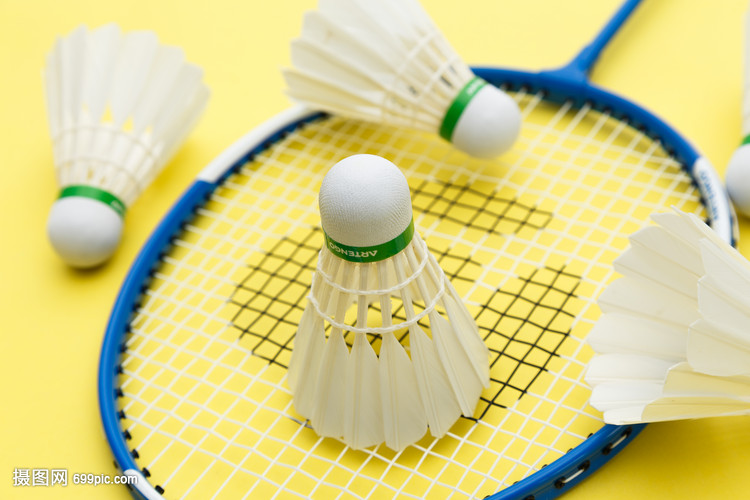 场比赛都显 场比赛都显