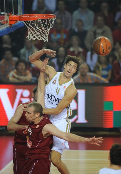 猫杯备受关 猫杯备受关